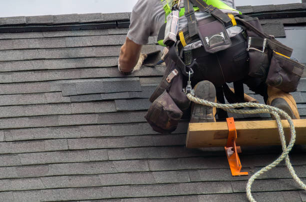 Best Roof Moss and Algae Removal  in Hobart, WI